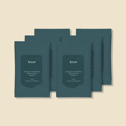 All-Purpose Cleaning Wipes - Travel Packs - Jetset Essentials