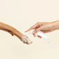 All-Purpose Cleaning Wipes - Travel Packs - Jetset Essentials